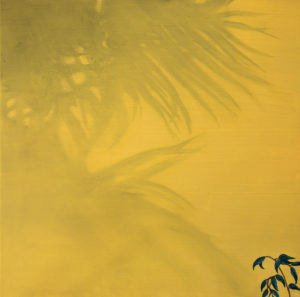 Ombre végétale sur mur jaune